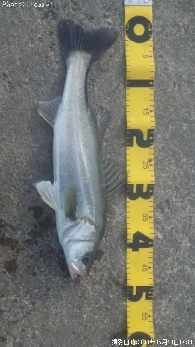 �����Х�