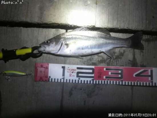 �����Х�