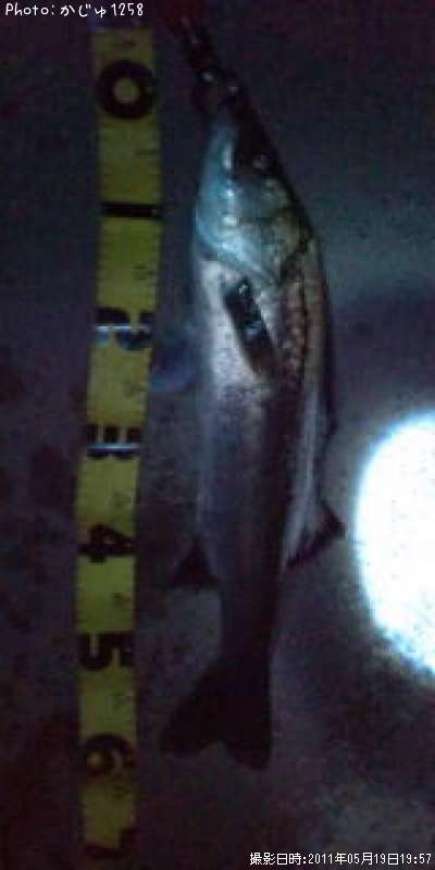 �����Х�