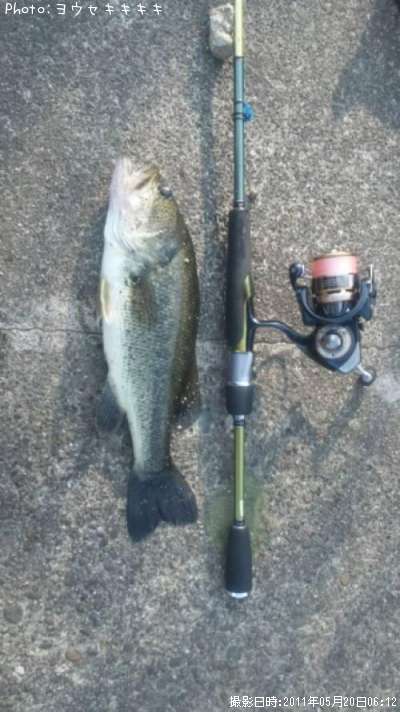 �֥�å��Х�