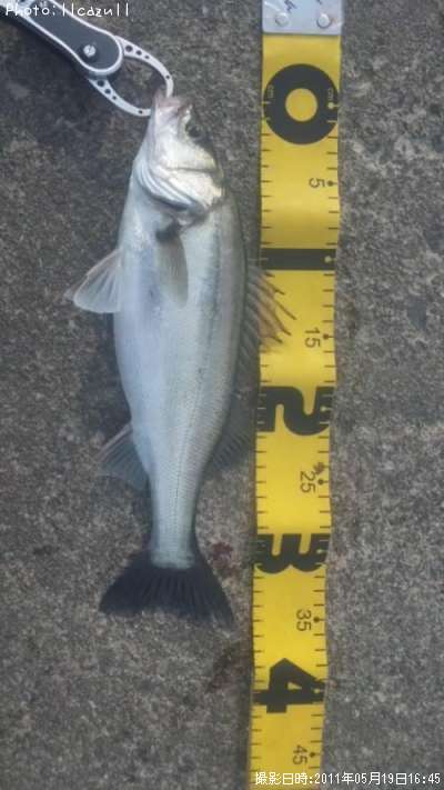 �����Х�