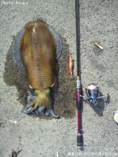 �����ꥤ��