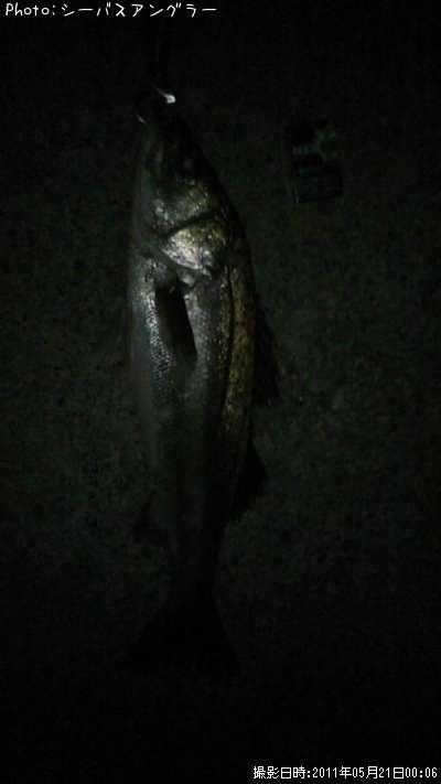 �����Х�