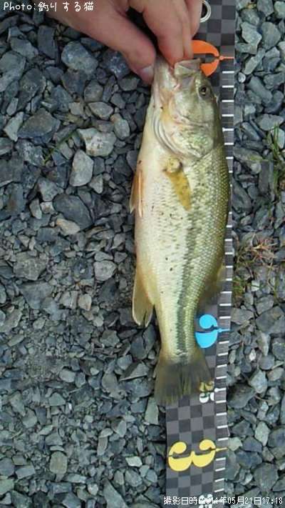 �֥�å��Х�