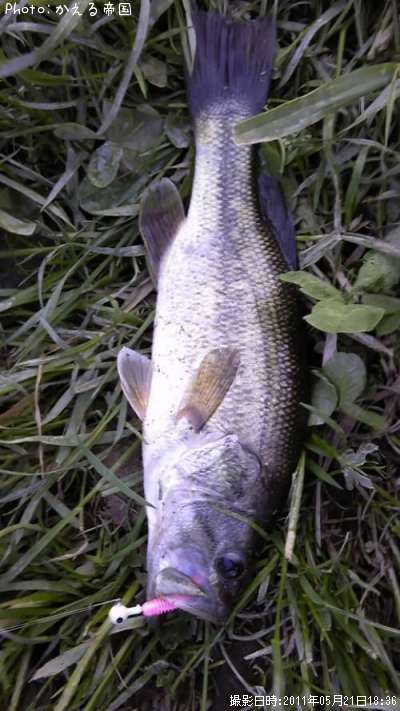 �֥�å��Х�