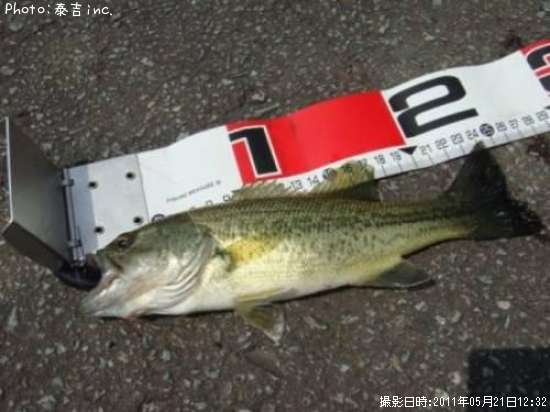 �֥�å��Х�