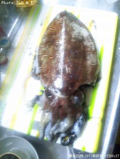 ��󥴥�����