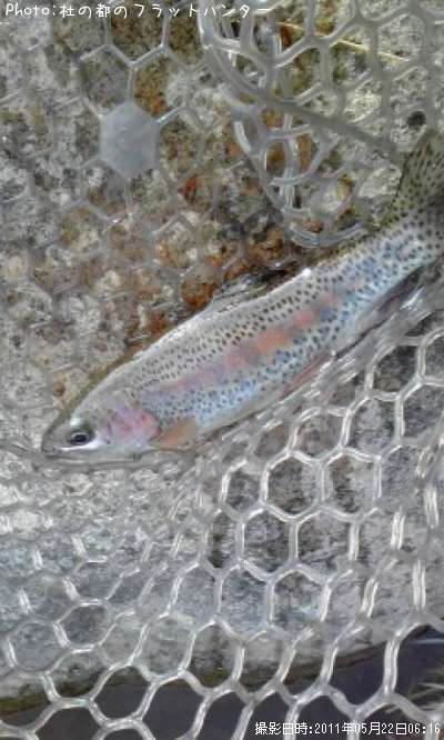 ��ޥ�쥤��ܡ�