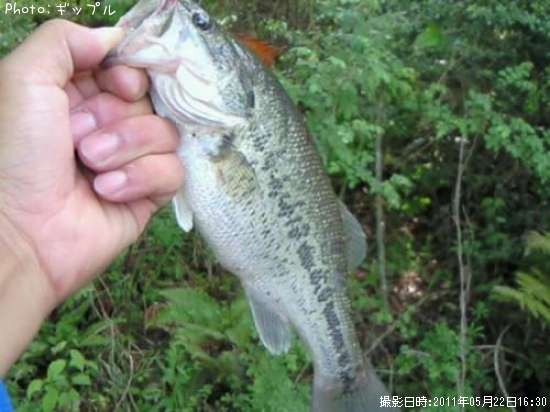 �֥�å��Х�