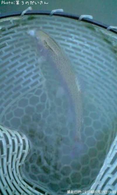 �쥤��ܡ��ȥ饦��