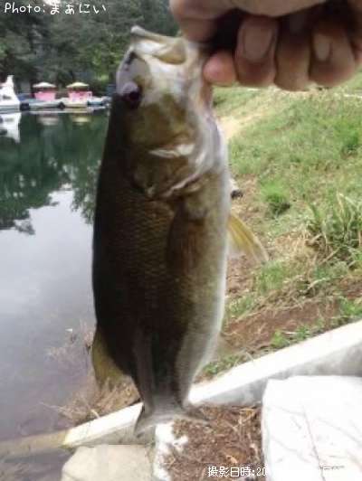 �֥�å��Х�