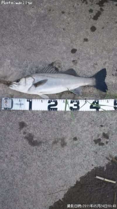 �����Х�