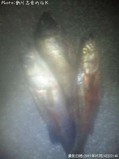 �����Х�