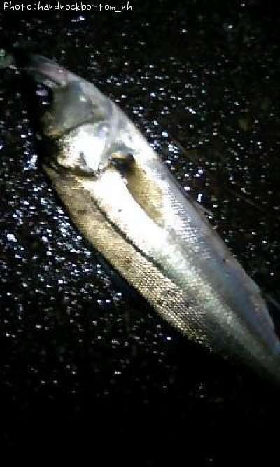 �����Х�