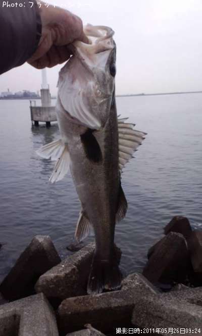 �����Х�