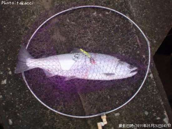 ������ޥ�