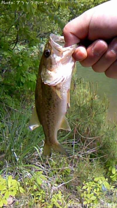 �֥�å��Х�