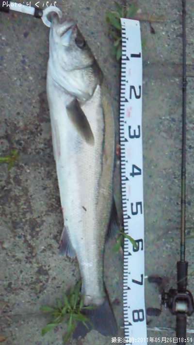 �����Х�