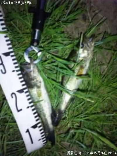 �֥�å��Х�