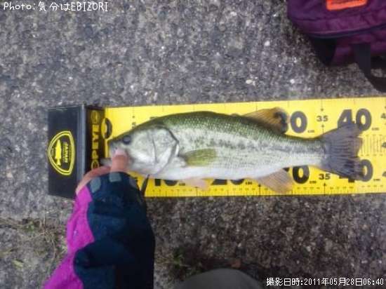 �֥�å��Х�