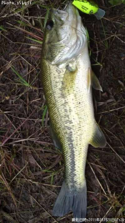 �֥�å��Х�