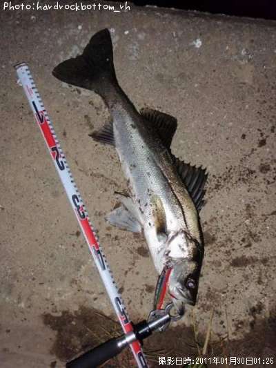 �����Х�