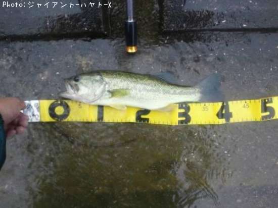 �֥�å��Х�