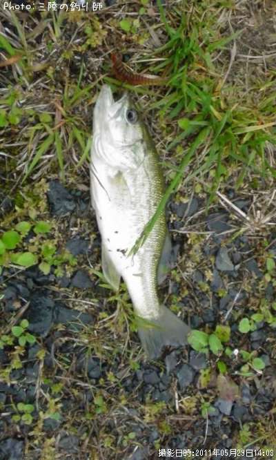 �֥�å��Х�