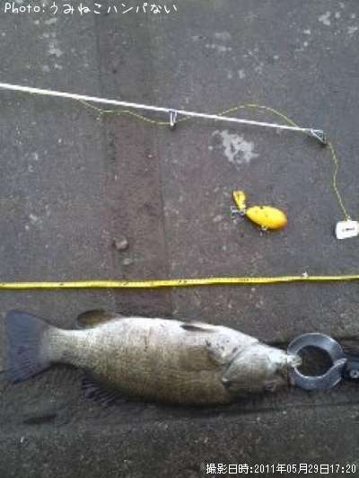 �֥�å��Х�