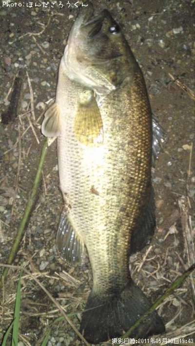 �֥�å��Х�