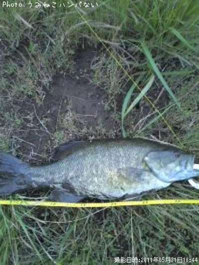 �֥�å��Х�