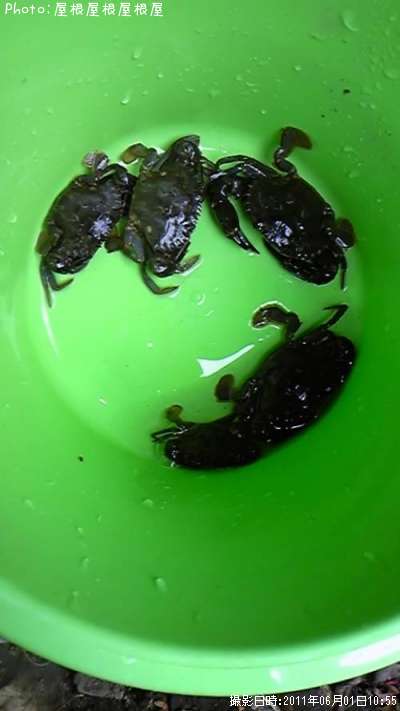 ���ˤ����