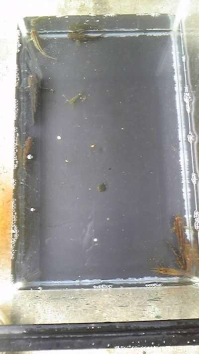 �ϥ������Ӥ����