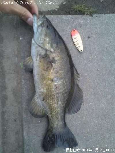 �֥�å��Х�