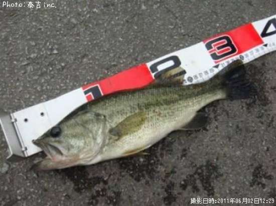 �֥�å��Х�