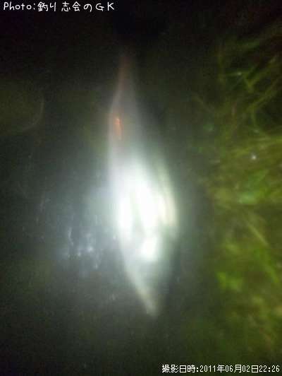 �����Х�