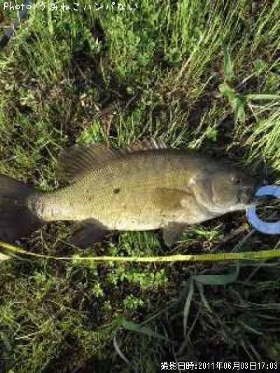 �֥�å��Х�