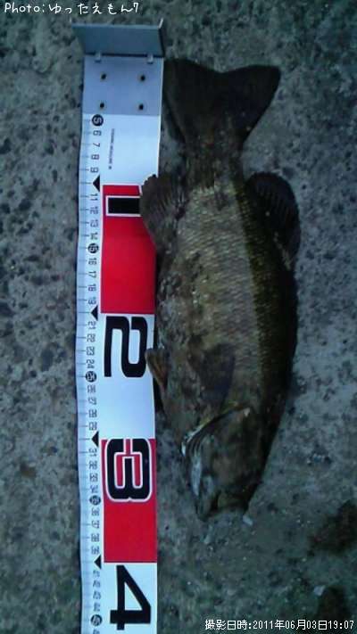 ���⡼��ޥ����Х�