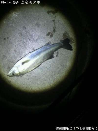 �����Х�