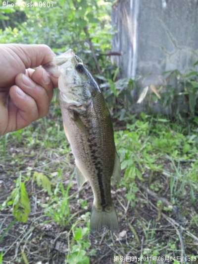 �֥�å��Х�