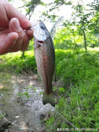 �֥�å��Х�