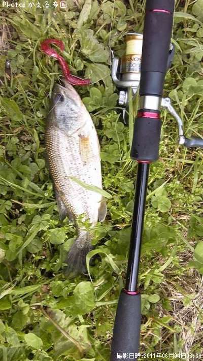 �֥�å��Х�