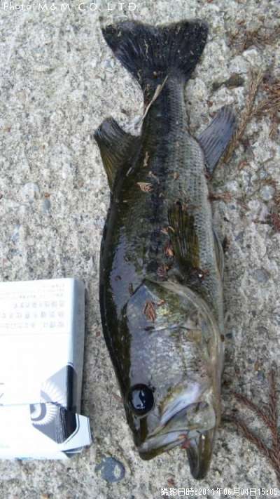 �֥�å��Х�