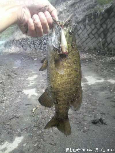 ���⡼������