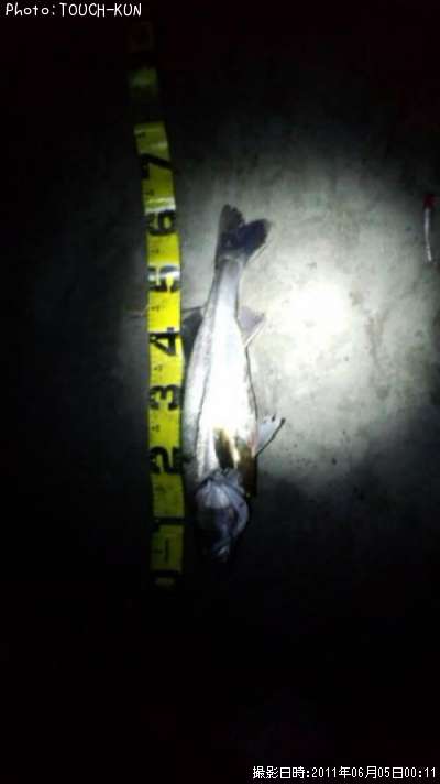 �����Х�