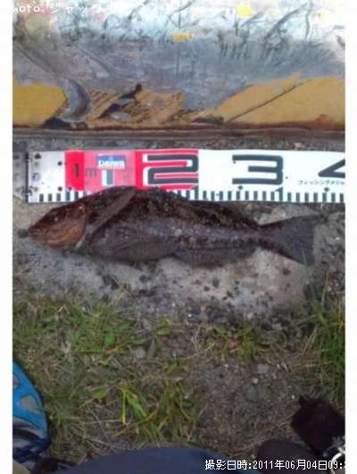 �����ʥ�