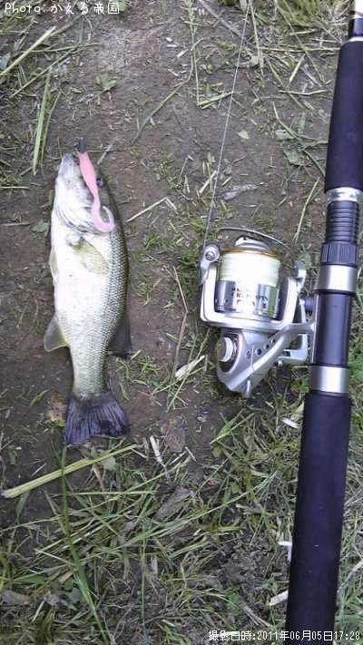 �֥�å��Х�