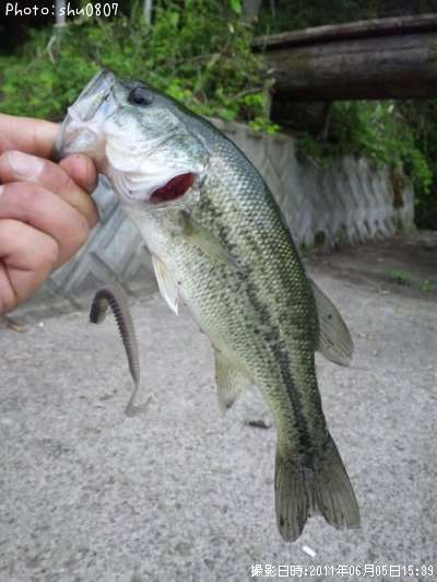 �֥�å��Х�