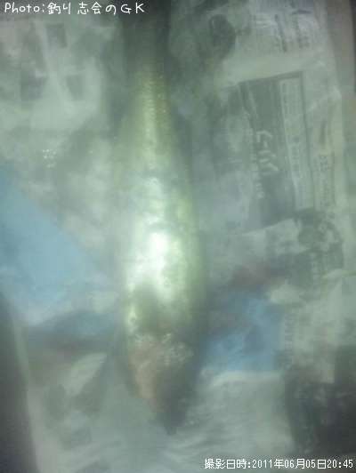 �����Х�