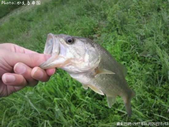 �֥�å��Х�